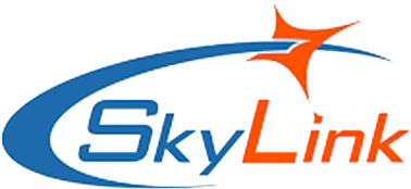 سرور اختصاصی آلمان